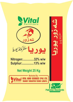 Products3-rc2inv3ce6xm6l9ynfr78nvj69y3qb7z0wslai57os (1)