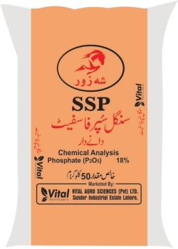 Products4-rc2inv3ce6xm6l9ynfr78nvj69y3qb7z0wslai57os