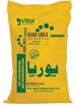 products-6-rc2iqqhl9yv5np3rvog5uxs8insh90mg34k02xvwoc